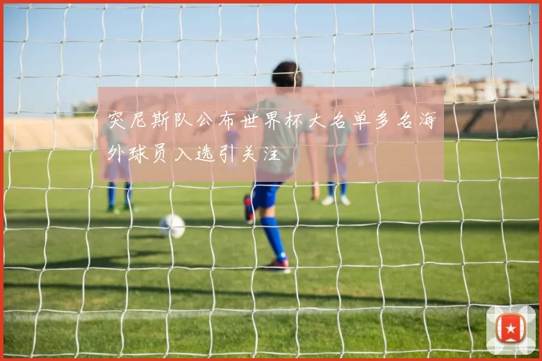 突尼斯队公布世界杯大名单多名海外球员入选引关注