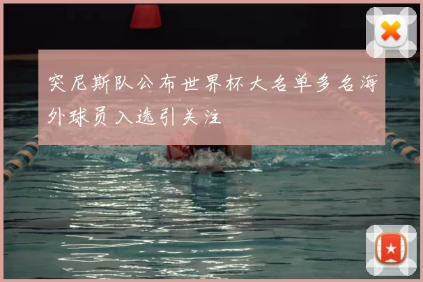 突尼斯队公布世界杯大名单多名海外球员入选引关注