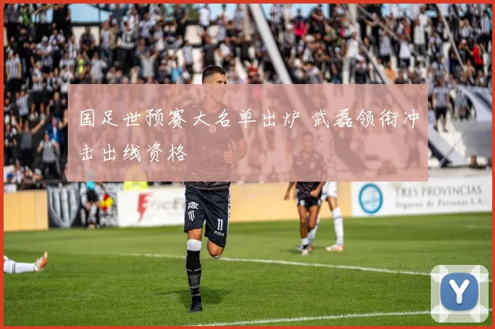 国足世预赛大名单出炉 武磊领衔冲击出线资格