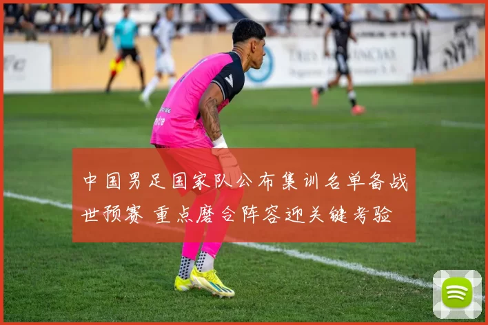 中国男足国家队公布集训名单备战世预赛 重点磨合阵容迎关键考验