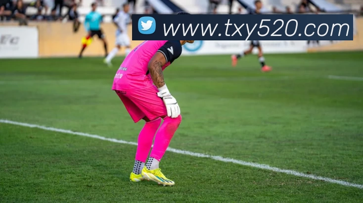 数据防护可视化